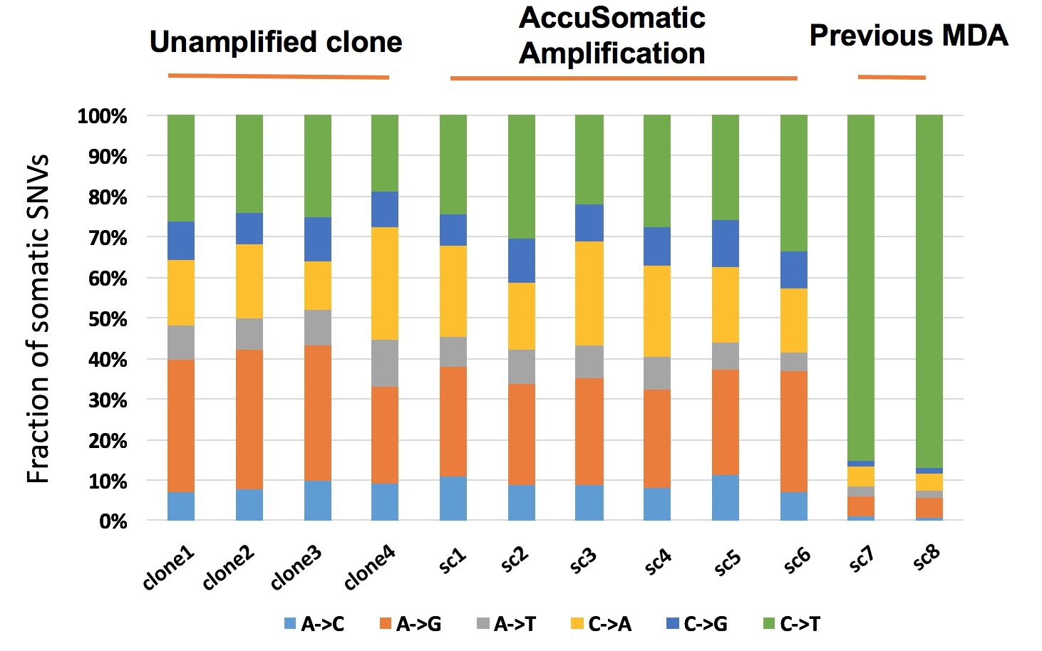 AccuSomatic Amplification bar